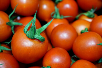 Fresh cherry tomatoes. Group of fresh tomatoes. Solanum lycopersicum. Tomato background.                             
