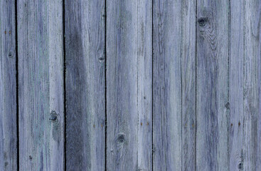 Fototapeta premium Dark grey soft wood surface as background. Vintage grey wooden fence. Wood plank texture for background. Gradient of blue and grey colors. Stylish background wallpaper