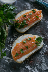 Sandwiches with trout on dark background 