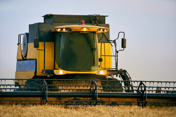 Combine harvesters working in a wheat field on sunset round about. Harvesting machine driver...