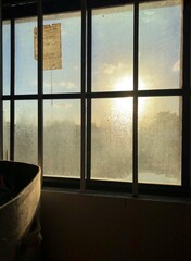 Sunny day seen through a window