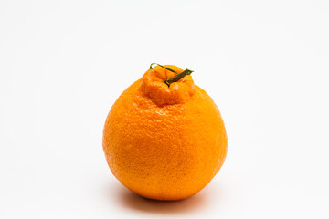 Korean orange Hallabong in Jejudo Mandarin 