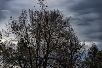 Palacio Municipal de Queretaro