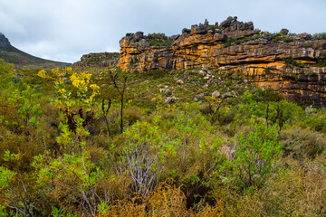 Pakhuis Pass, Clanwilliam, Cederberg Mountains, Western Cape province, South Africa, Africa