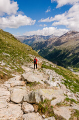Obraz premium Val Roseg, Ova da Roseg, Rosegbach, Rosegtal, Hochtal, Wanderweg, Wanderer, Alpenrose, Berninagruppe, Sellagruppe, Oberengadin, Murtèl, Corvatsch, Fuorcla Surlej, Alpen, Sommer, Graubünden, Schweiz