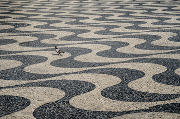 Fototapeta premium Typical portuguese cobblestone hand-made mosaic pavement and a pigeon, in Rossio Square or Pedro IV Square (Praça de D. Pedro IV), Lisbon, Portugal.