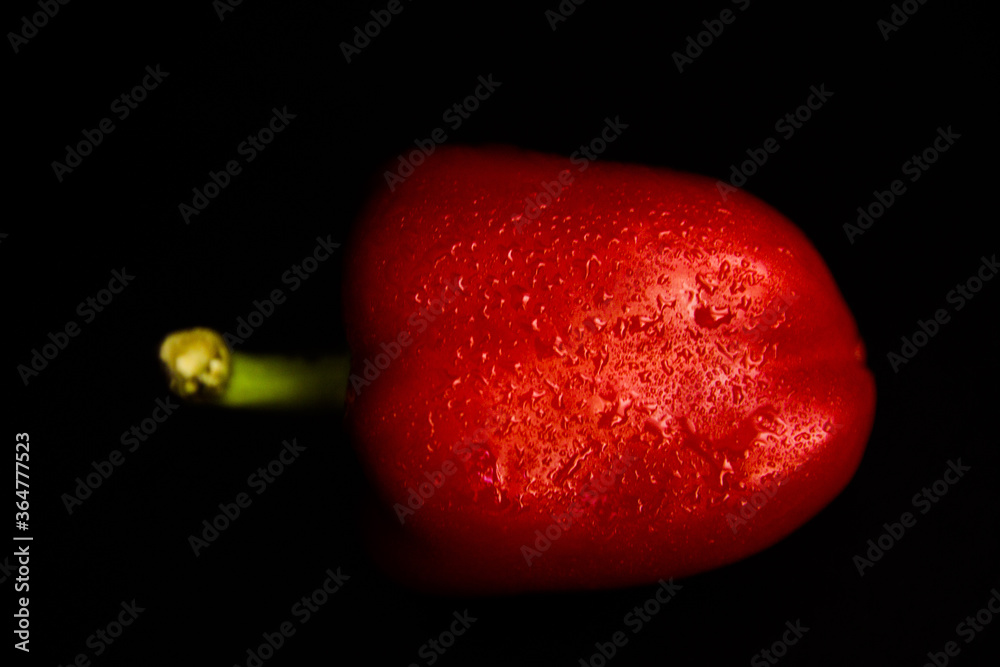 Wall mural fresh vegetables, red peppers on a black background