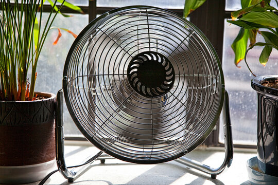 Fan Providing Cool Air