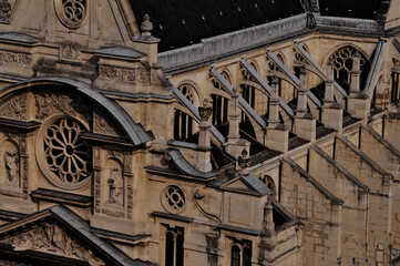 Paris Notre Dame Frühling
