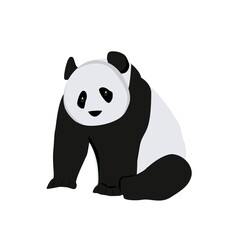  Panda Illustration