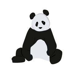  Panda Illustration