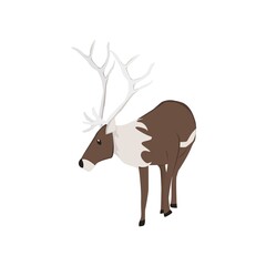 Reindeer Illustration