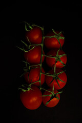 tomatoes on a branch, black background
