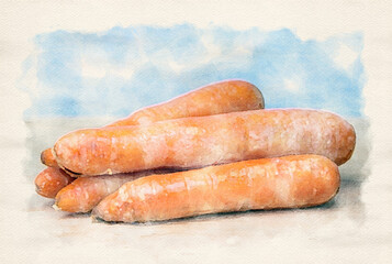 carrots on table in watercolors