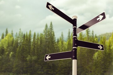 Blank directional road sing on nature background