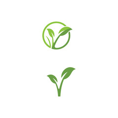 Leaf  ecology Logo Template vector