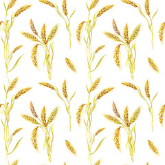 Watercolor wheat on a white background.Seamless pattern.Watercolour Summer,autumn illustration.Botanical print