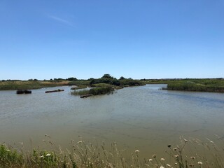 Marais salants de Guérande