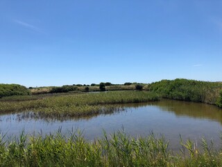 Marais salants de Guérande