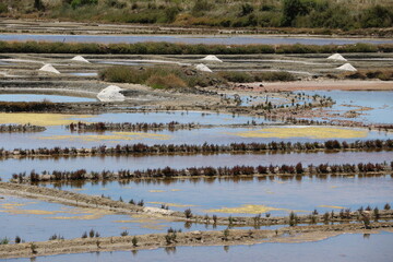 Marais salants de Guérande