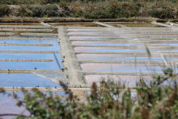 Marais salants de Guérande