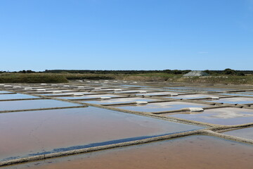 Marais salants de Guérande