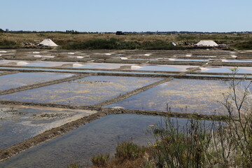Marais salants de Guérande