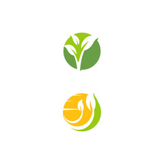 Leaf  ecology Logo Template vector