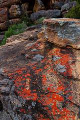 Sevilla Bushman Rock Art Trail, Clanwilliam, Cederberg Mountains, Western Cape province, South Africa, Africa
