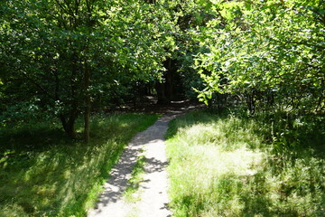 Natur