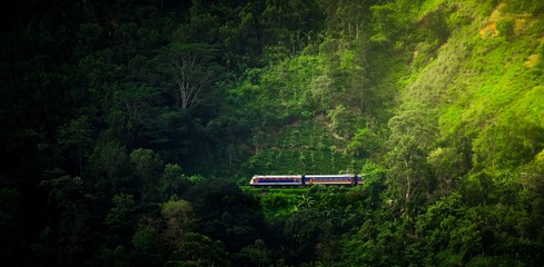 Scenic Train Ride in Ella through beautiful lush green forest and tea estates, blue train coming out of the ella demodara railway loop in the morning light.