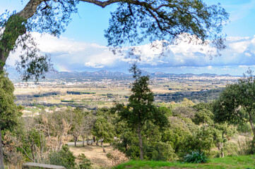 Winter landscape of the Provencal hinterland. Only the pines are still green, the other trees have lost their leaves. In the background, the Esterel mountains.