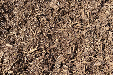 a detailed wide angle view looking down at some natural and dry mulch ground covering perfect for garden and gardening background as well as nature backdrops