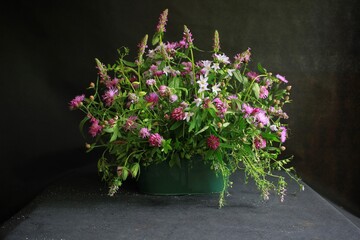 pink flowers in a pot