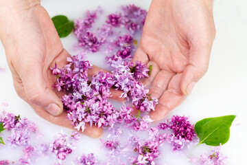 Young hands hold lilac petals in a milk bath.