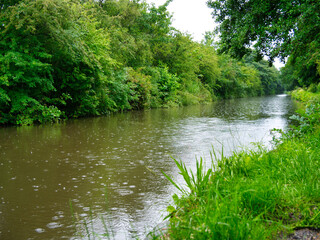 Fototapeta na wymiar Halsall Cutting on the Leeds to Liverpool canal in Lancashire, UK - a quiet, tranquil section of the canal. Taken on a calm rainy day in summer.