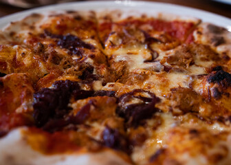 close up of pizza with pork and onion