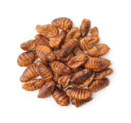 Top view of fried chrysalis