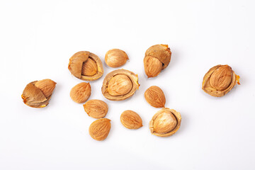 apricot kernel isolated on white background