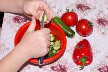 hands cut tomatoes and cucumbers on a salad
