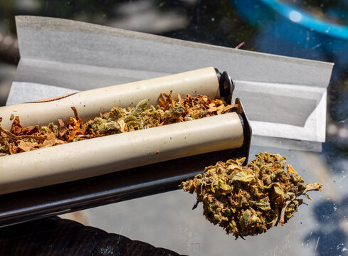 Bau eines Joints mit Cannabis Marihuana