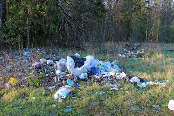 Illegal landfill harmful to the environment and nature