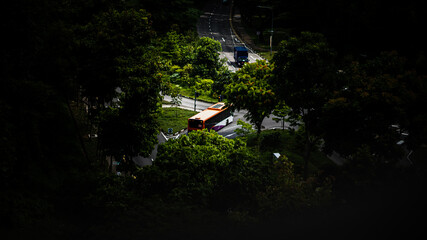 intersection in forest