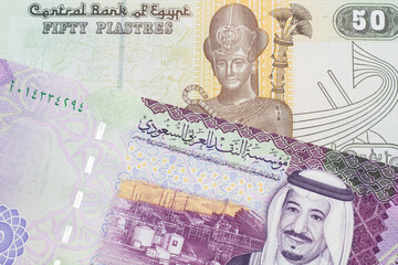 A close up image of a colorful fifty Egyptian piastres note close up in macro with A colorful, five...