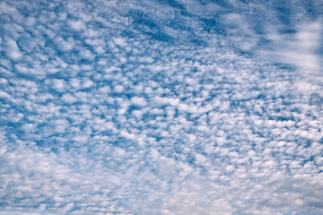 blue sky with cloud closeup