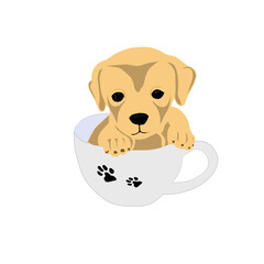 puppy dog siting in teacub