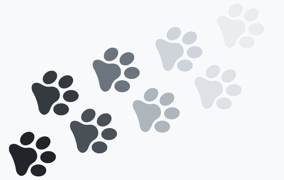 Paw print foot trail. Dog, cat paw print. Vector.