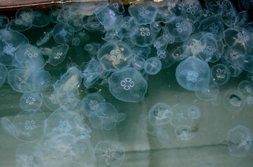 bubbles in water