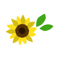ひまわりの手描きイラストアイコンセット【白背景】sunflowers flat illustration vector icon