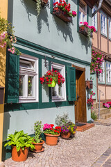 Fototapeta na wymiar Flowers and plants at a colorful house in Quedlinburg, Germany